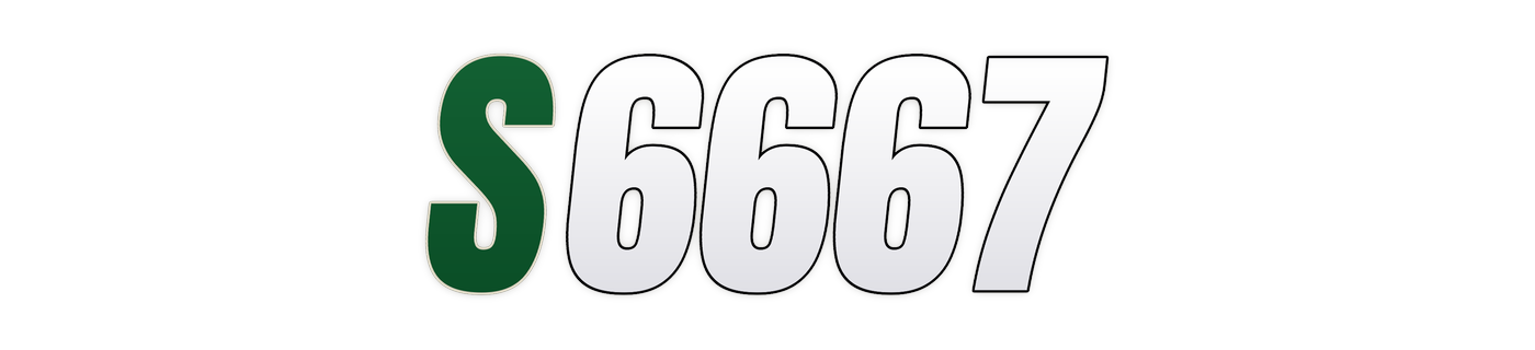 s6667